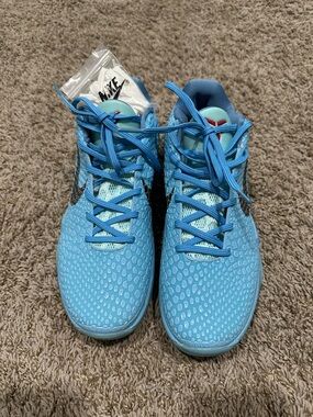 Kobe 6 Protro Blue Ice Grinch 8.5